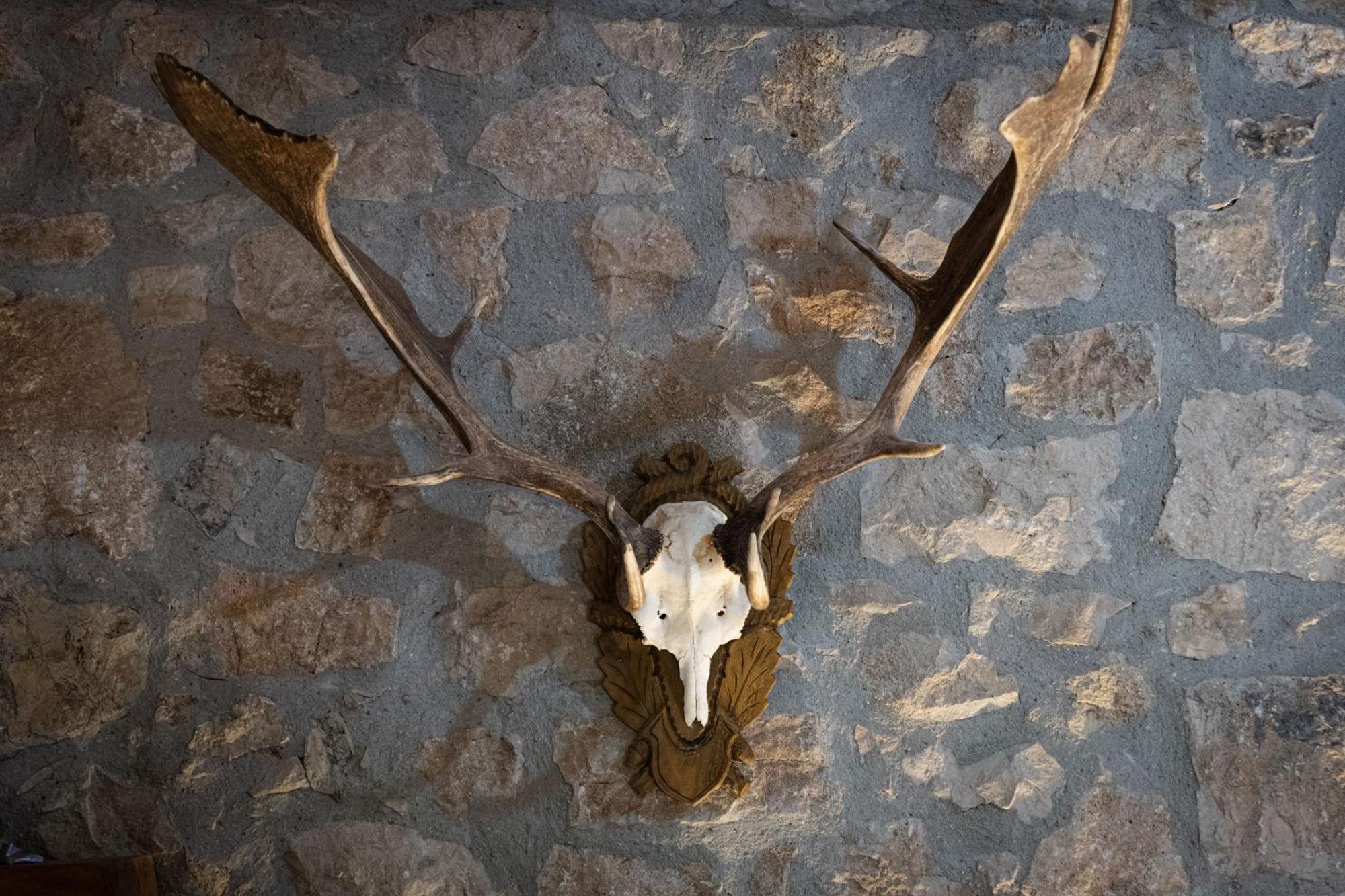 Pensjonat Country Relais La Torretta Baronale San Giorgio del Sannio Zewnętrze zdjęcie