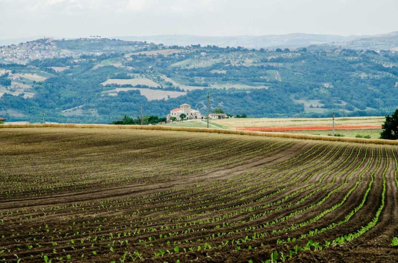 Pensjonat Country Relais La Torretta Baronale San Giorgio del Sannio Zewnętrze zdjęcie
